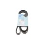Ремінь генератора Renault Kangoo 1.2 98- / Dacia Logan/Sandero 1.2 12- (4PK1538)