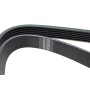 Ремінь генератора Fiat Scudo/Citroen Berlingo/VW Golf IV 1.8/1.9TDI 97- (6PK1660)