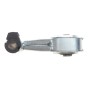Подушка двигуна (задня/нижня) Renault Megane III 2.0TCe 08- (косточка)