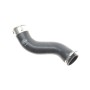 Патрубок інтеркулера Dacia Dokker/Duster/Renault Clio IV 1.5dCi 10-