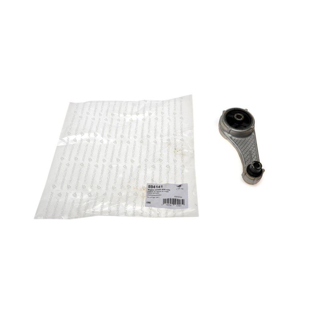 Подушка двигуна (задня) Renault Kangoo 1.2-1.4 I/1.9D 97- (косточка)