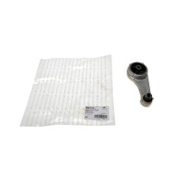 Подушка двигуна (задня) Renault Kangoo 1.2-1.4 I/1.9D 97- (косточка)