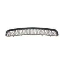 Решітка бампера (нижня) BMW X5 (E70) 07-13