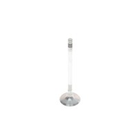 Клапан (випуск) Opel Astra G/Insignis A/Vectra B/C/Zafira A/B (30.1x6x101)
