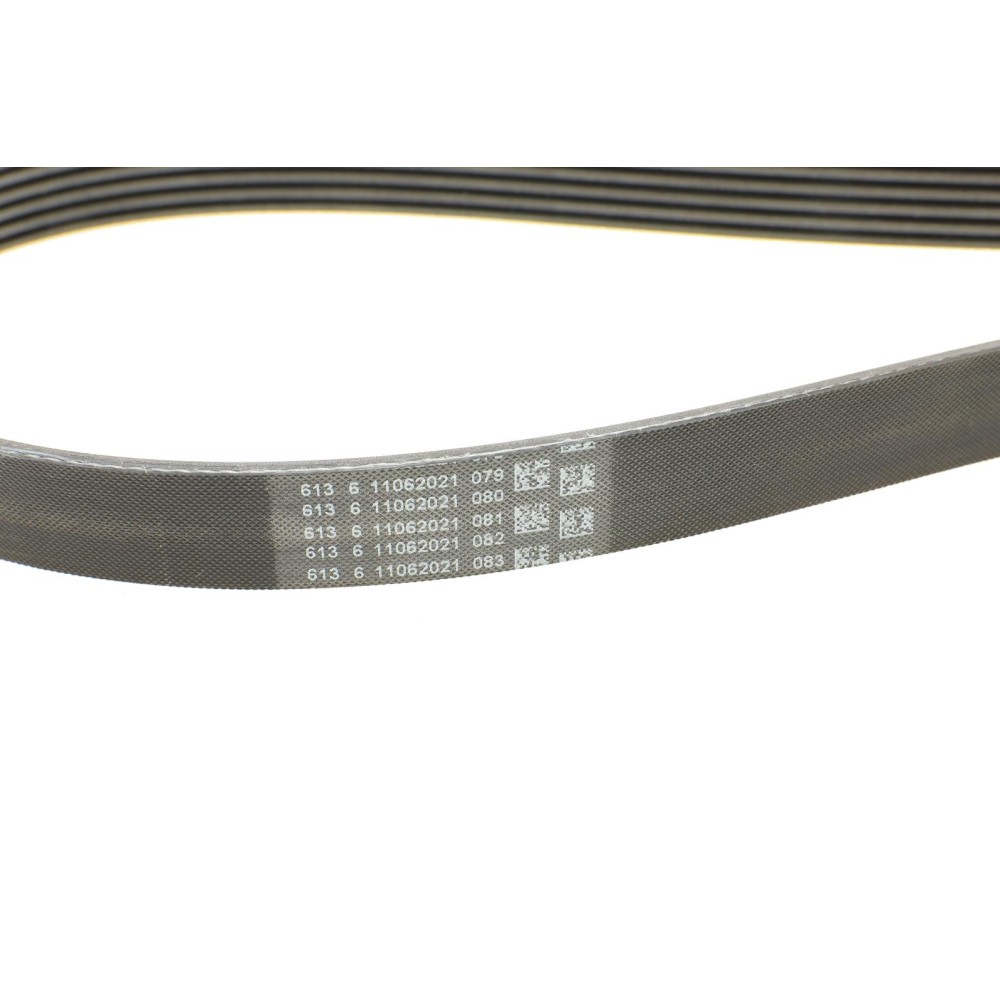 Ремінь генератора Renault Laguna 2.0 95-01/Audi A3 3.2 03-09/Ford Kuga 2.0TDCi 13-