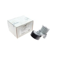 Натяжник ременя генератора Renault Kangoo 1.5dCi 09-