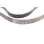 Ремінь генератора Opel Vectra/Astra G 2.0/2.2 DTI 00-05/Renault Koleos 2.5 08-