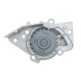 Комплект ГРМ + помпа Citroen Jumpy 2.0HDi (144x25)