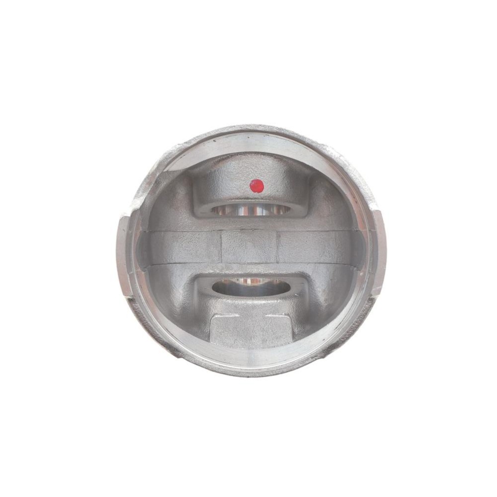 Поршень Citroen Berlingo/Peugeot Partner 02-08 (85.60mm/+0.60)