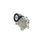 Натяжник ременя генератора Citroen/Peugeot/Ford 1.4HDi/1.6TDCi 01- (65x26)
