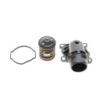 Термостат BMW 3 (E90)/5 (F10)/7 (F01-F04)/X5 (E70)/X6 (E71/E72) 08-14 N57 D30 (+ корпус)