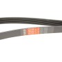 Ремінь генератора Peugeot 206/Partner/Citroen Berlingo/VW Polo 1.1-1.6 02-