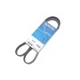 Ремінь генератора Citroen Nemo/Fiat Fiorino/Peugeot 206 1.4/1.8 03- (6PK1225)