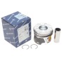 Поршень Skoda Octavia II/VW Golf V/Jeta III 2.0TDI 03- (81.51mm/+0.50)