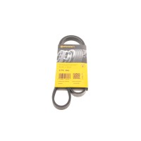 Ремінь генератора Mitsubishi Pajero 3.0 V6 90-00/ Chevrolet Matiz 1.0 05- (4PK954)