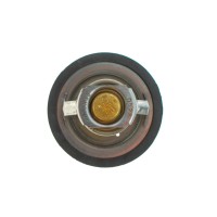 Термостат Renault Koleos/Laguna III/Megane III 2.0 16V 07-