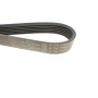 Ремінь генератора Citroen Berlingo/Fiat Ducato 1.8/1.9D /Citroen Jumper 3.0HDI 96- (6PK1160)