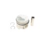 Поршень VW Caddy II/T4 1.9/2.4D 90-04 (80.01mm/+0.5)