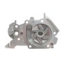Помпа води Renault Clio 01-/Kangoo 01-/Twingo 1.2 16V 01- (B/B) (6 лоп)
