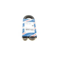 Ремінь генератора Citroen Berlingo/Peugeot Partner 1.1/1.4 96-08 (6PK1560)