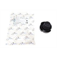 Кришка радіатора BMW X3 (E83)/X5 (E53/E70) 00-13