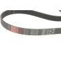 Комплект ременя генератора Audi A2/Seat Ibiza/Skoda Fabia/VW Golf/Polo 1.4/1.6/1.6FSI 97-15 (6PK1078)