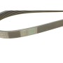 Ремінь генератора Infiniti FX/M45/Lexus GS/Mitsubishi Outlander 1.8-4.5 93-