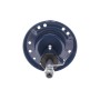 Амортизатор (передній) Fiat 500/500C 0.9-1.4 10-/Ford Ka 1.2-1.3 08-16 (R)