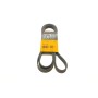 Ремінь генератора Infiniti FX/M45/Lexus GS/Mitsubishi Outlander 1.8-4.5 93-