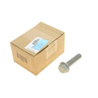Болт шківа колінвалу Audi A4/A5/A6/A8/Q3/Q5/Q8/VW Golf/Passat 15- (M16x1.5x75)