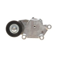 Натяжник ременя генератора Citroen/Peugeot/Ford 1.4HDi/1.6TDCi 01-