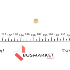 Заглушка блоку циліндрів (d=9mm) Латунь/Brass