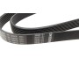 Ремінь генератора Toyota Avensis 2.0 D-4D 08-18/BMW 7 (F01-F04) (N63) 10-12 (7PK1370)