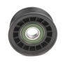 Ролик генератора Ford Focus/Fiesta/C-Max 1.0-1.6 04- (паразитний) (69x28.8)
