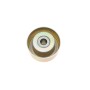 Ролик генератора Ford Connect 1.8Di/TDCi (паразитний) (60х26.6)