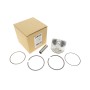 Поршень Renault Megane II-III/Scenic II-III 1.6 02- (79.5mm/STD)