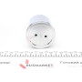 Поршень супорта (заднього) Opel Movano/Renault Master 10- (60x54mm) (Brembo)