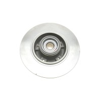 Диск гальмівний (задній) Renault Megane III/Scenic III 08- (260x8)(з підшипником)(+ABS)