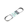Ремінь генератора Man TGA 00-/ E2000 95-00 (8PK880)