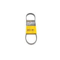 Ремінь генератора Renault Kangoo 1.6i 08-/Toyota Previa 2.4 90-00/Dacia Logan/Sandero 1.6 10-