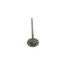 Клапан (впуск) Renault Megane IV/Clio IV/Logan II/Sandero 0.9-1.2 TCe 12- (27x5,5x101)