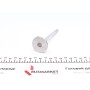 Клапан (впуск) Opel Astra F/G/Vectra A 1.6D/1.7D 82-00 (36x8x123.2) (вальцювання)