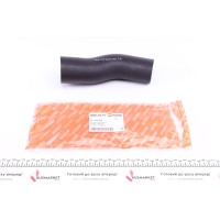 Патрубок інтеркулера Citroen Jumper/Fiat Ducato/Peugeot Boxer 3.0 HDI 06-