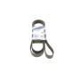 Ремінь генератора Honda Accord 2.2 i-CDTi 04-08 (7PK2265)