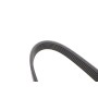 Ремінь генератора Jeep Wrangler 4.0 91-96/Volvo S90/V90 2.9 97-98/Ford Scorpio 2.0/2.3 94-98