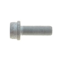 Болт кріплення скоби супорта (заднього) VW Golf IV 98-06 (M10x1.25x30)