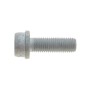 Болт кріплення скоби супорта (заднього) VW Golf IV 98-06 (M10x1.25x30)
