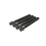 Шків колінвалу BMW 1 (E81)/3 (E90)/X1 (E84)/5 (E60)/X3 (E83/F25) 2.0D (N47/M47) 04- (6PK)