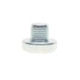 Пробка піддону картера АКПП зливна VW T5 3.2 VR6/2.5 TDI 03-09 (M10x1)