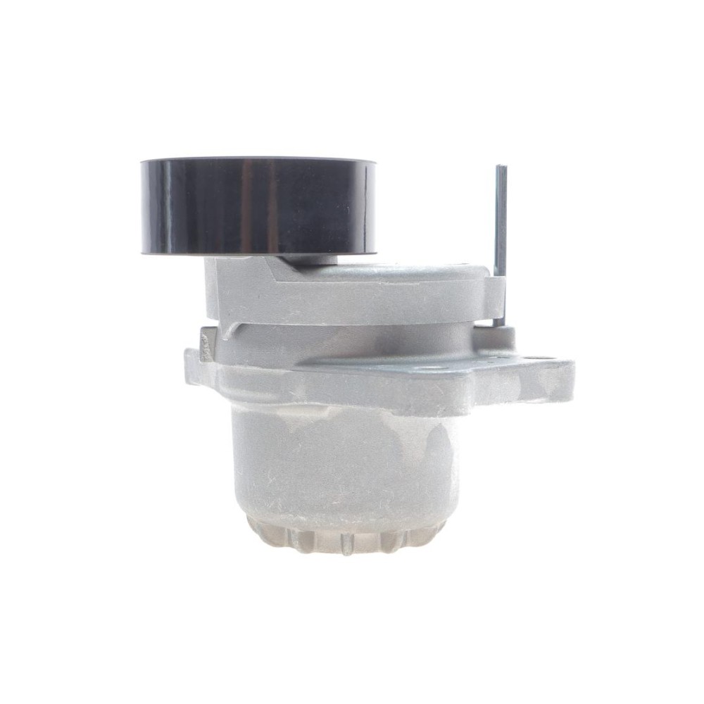 Натяжник ременя генератора Citroen C4/C5/Peugeot Expert 2.0 HDi 09-